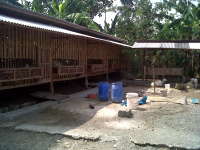 Beternak Cara Modern Lebih Menguntungkan