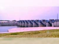 Musim Kemarau Ini, Ikan semakin sulit di Bendung Gerak