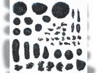 Batu Berusia Ratusan Tahun Ada di Indonesia