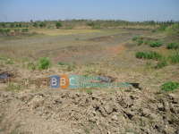 Kekeringan Mengancam Ketahanan Pangan 