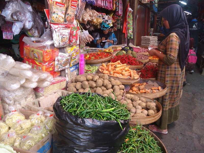 Daerah Penghasil Panen, Harga Sayuran di Pasaran Turun 