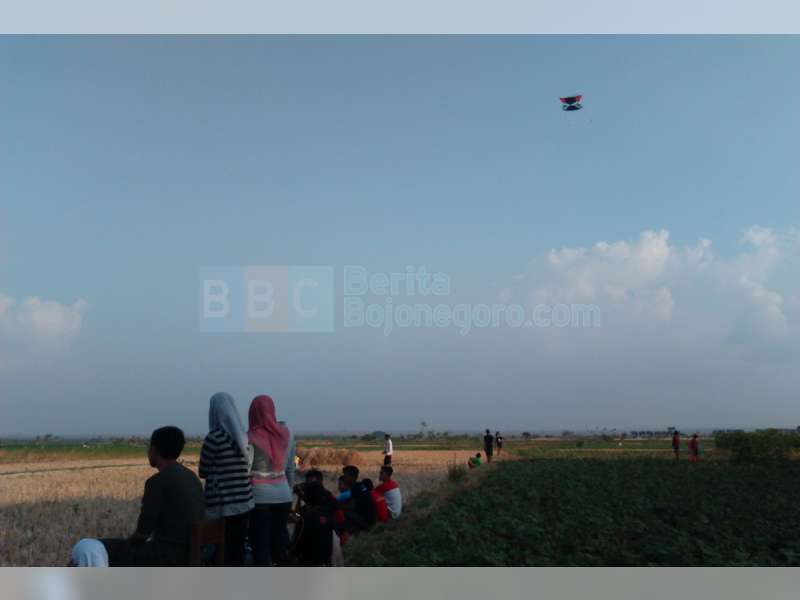 Membangkitkan Kenangan Masa Kecil dengan Festival Layang-layang