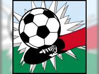 Mau Tahu Jadwal Camat Cup 2015?