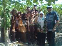 Balenrejo Kembangkan Agrowisata Buah Pepaya 