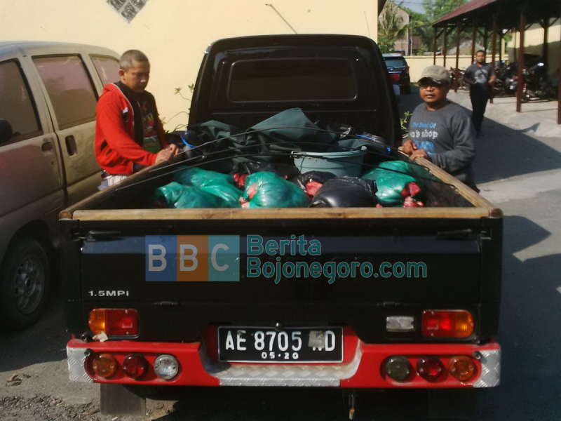 Polres Amankan 220 Kilo Daging Celeng