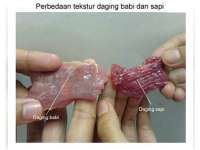 Cara Membedakan Daging Sapi dan Daging Celeng