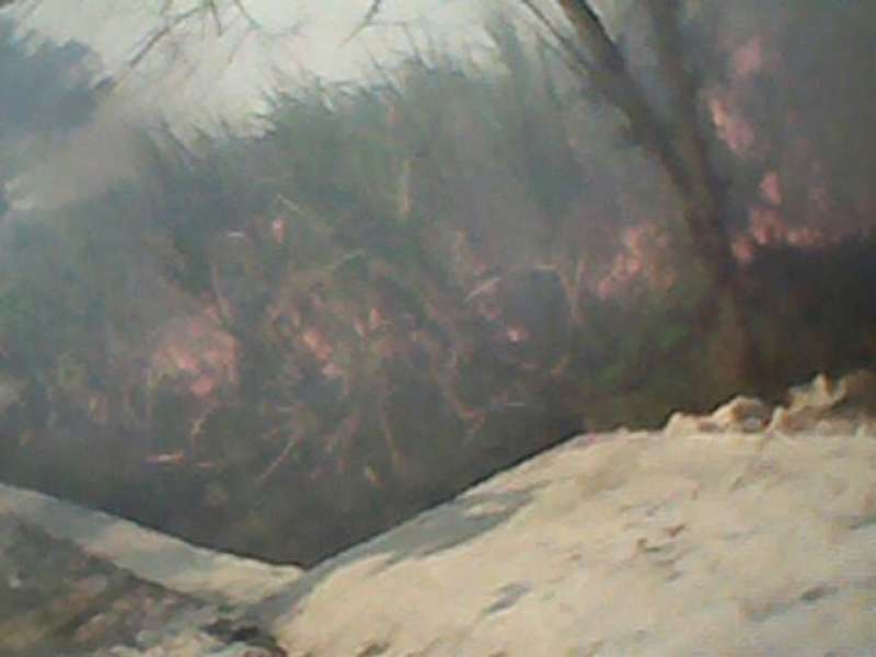 Terbakar, Kebun Tebu PG Purwodadi Rugi Rp 400 Juta