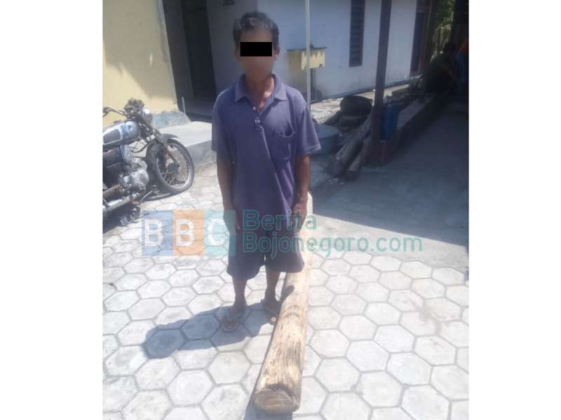 Petugas Perhutani Tangkap Kakek Pembawa Kayu Ilegal 