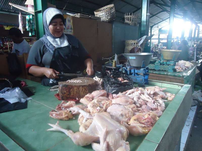 Pedagang Keluhkan Mahalnya Harga Ayam dari Peternak 