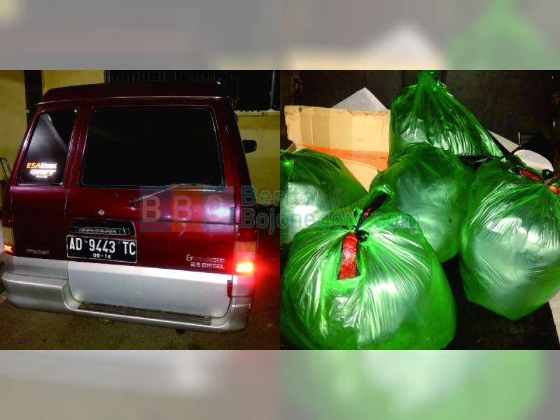 Polisi Sita 100 Kilogram Daging Celeng Siap Edar 