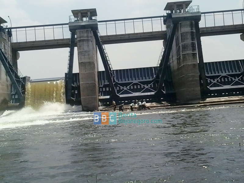 Kemarau, Berkah Bagi Para Pencari Ikan Bendung Gerak