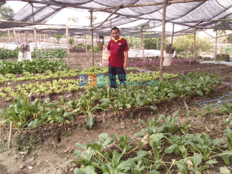 Pertanian Maju, Indonesia Sejahtera