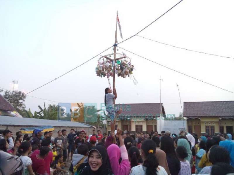 Wow Seru, Lomba Panjat Pinang Khusus Ibu-Ibu di Desa Ngrowo 