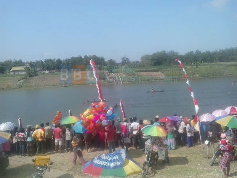Eksotisme Balapan Dayung di Bengawan Solo