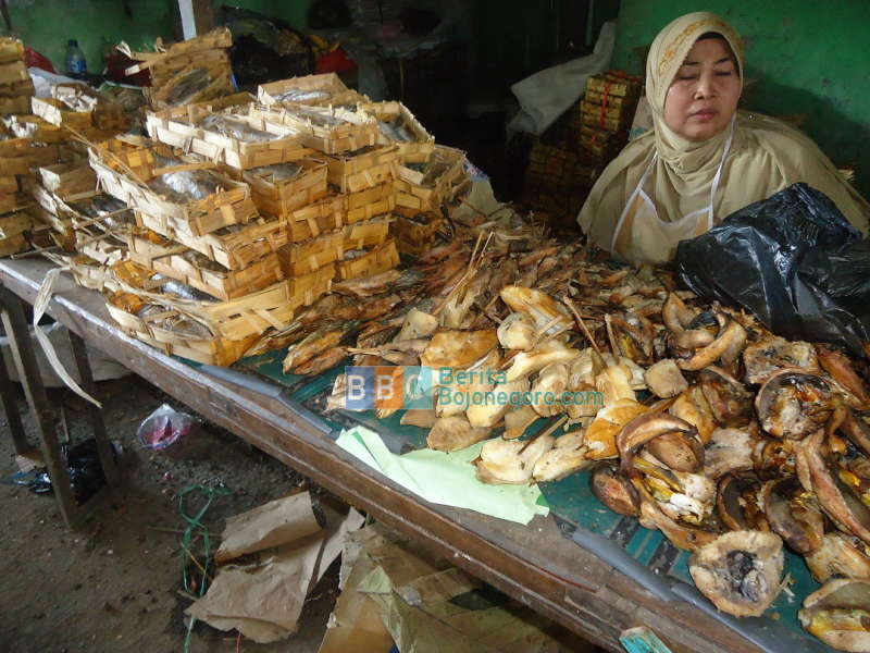 Pasokan Melimpah, Harga Ikan Laut Turun 