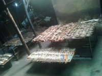 Turunnya harga Ikan Laut Tidak Pengaruhi Ikan Asap