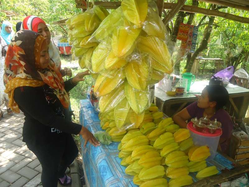 Mengembangkan Industri Pariwisata di Bojonegoro 