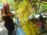 Mengembangkan Industri Pariwisata di Bojonegoro 