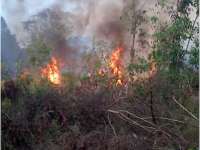 Lahan Kosong PT Saritoga Dilalap Api