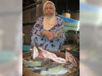Ibu Rumah Tangga Mulai Beralih Membeli Ikan Bengawan 