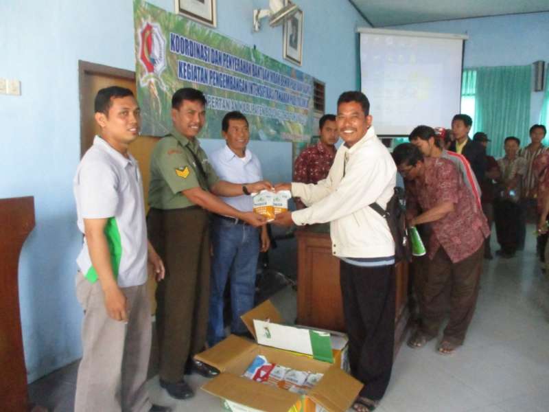 Dinas Pertanian Salurkan Bantuan Bibit Padi dan Jagung