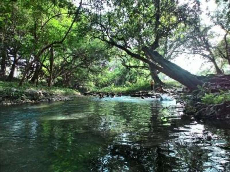 Sendang Grogolan Bakal Jadi Objek Wisata Alam