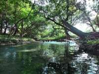 Sendang Grogolan Bakal Jadi Objek Wisata Alam