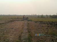 Tempuh Jarak 1 Kilometer Demi Air Bersih