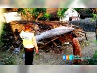 Puting Beliung Robohkan 1 Rumah Warga