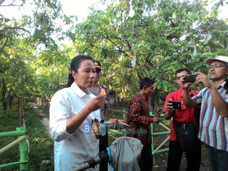 Menteri BUMN Siap Bantu Percepatan Proyek di Bojonegoro