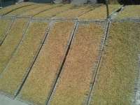 Petani Keluhkan Tutupnya Gudang PT Djarum