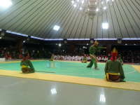 Festival Silat, untuk Menjaga Budaya Bangsa