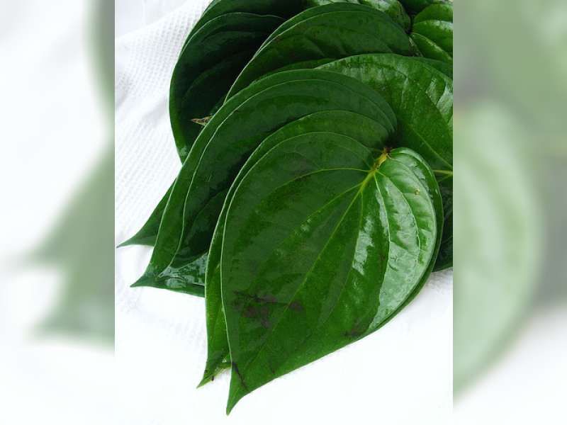 Cara Tradisional Obati Mata Sakit