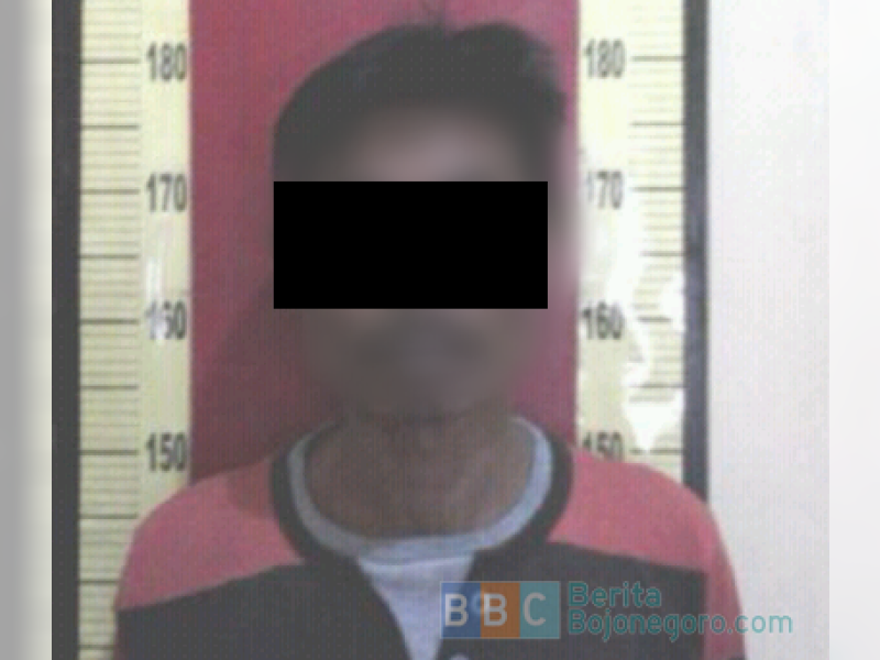 Polisi Tangkap Pencuri Kayu Jati