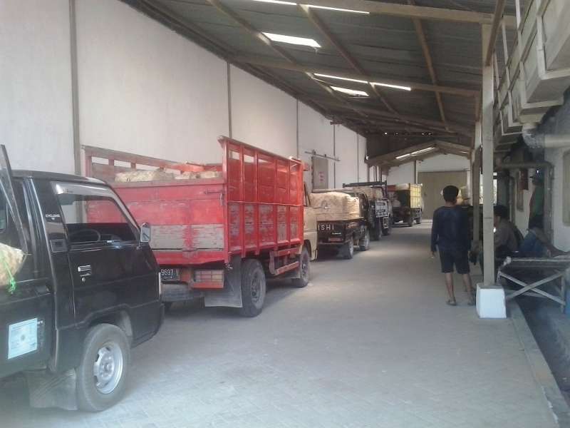 Gudang Dibuka, Petani Antre Setor Tembakau Rajangan