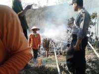 Ditinggal Petik Cabe, Rumah Kayu Ludes Terbakar