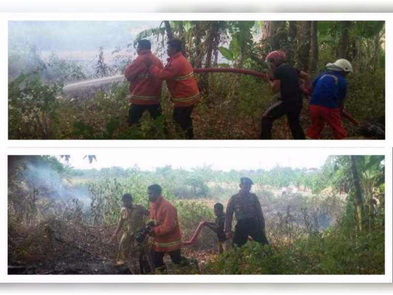 Kebakaran Semak Nyaris Melahap Kantor Bina Marga