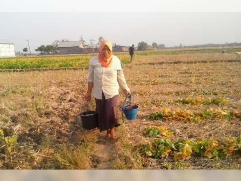 Demi Air, Warga Rela Berjalan Jauh dan Antri 6 Jam