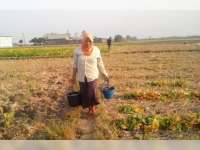 Demi Air, Warga Rela Berjalan Jauh dan Antri 6 Jam