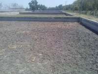 Kolam Mengering, Pembenihan Ikan di BBI Ngampal Berhenti 