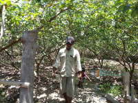 Yang Penting Air Tetap terjaga