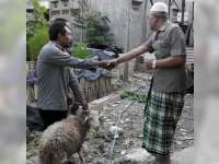 Idul Adha, Tripatra Bagikan Hewan Kurban di Desa Sekitar