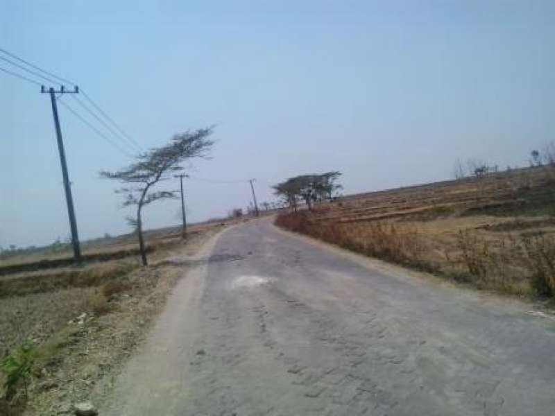 Warga Desa Kedungadem Minta Penerangan Jalan.