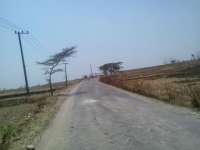 Warga Desa Kedungadem Minta Penerangan Jalan.