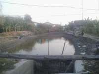 Embung Jadi Tambak Ikan, Petani Resah