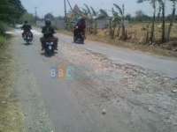 Jalan Poros Kedungadem Tidak Layak Dilewati
