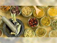 Atasi Jerawat Secara Tradisional