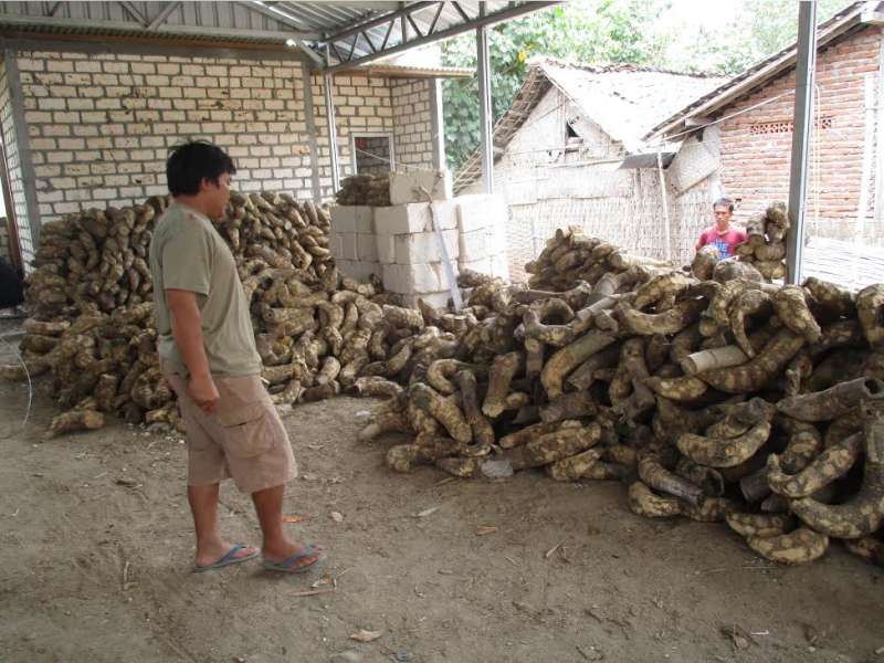 Sebulan Bisa Meraup Omset Ratusan Juta 