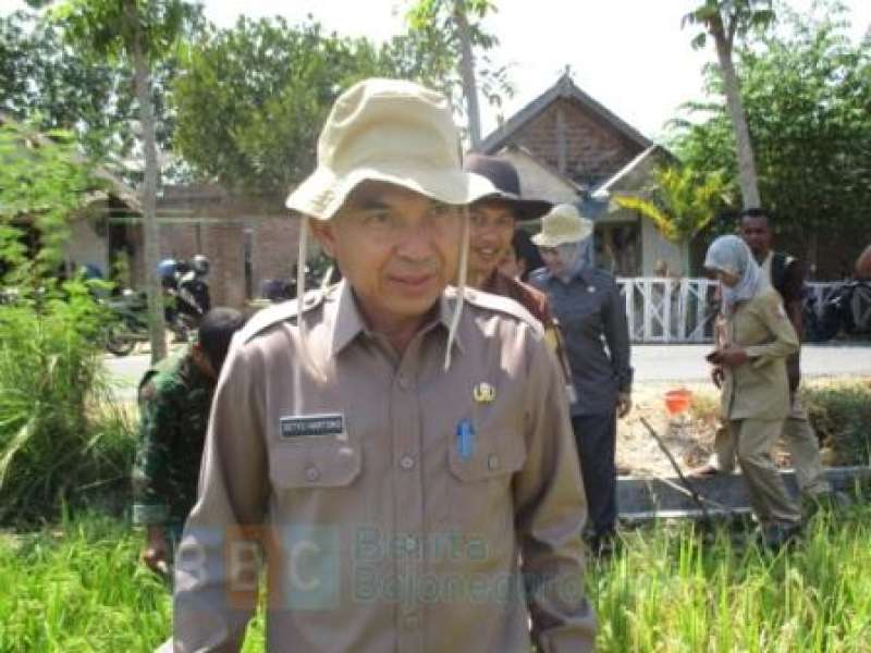 Harus Ada Inovasi Dalam Sektor Pertanian