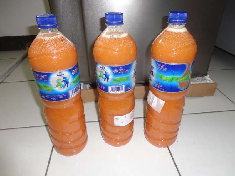 MOL, Pupuk Organik Murah tapi Berkualitas